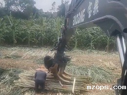 mzops抓木机助力甘蔗种植户丰收无忧