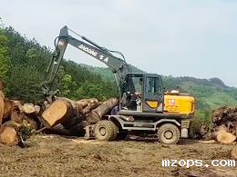 mzops120WD抓木机轻松抓起1米粗巨木