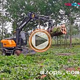 河南抓木机视频