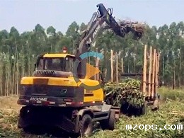 广东抓木机工况视频-mzopsBD95抓木机工作视频介绍