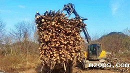 mzops95轮式挖掘机抓木机施工