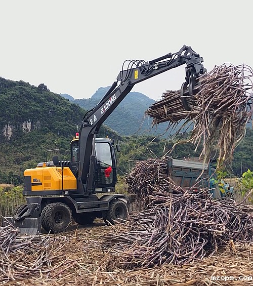 mzopsBD95W-9G型抓木机实车展示图B