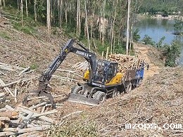 mzops抓木机助力林场树枝抓取，王先生大赞神助手