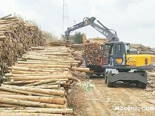 陡坡无惧，mzops120抓木机展现强劲爬坡实力