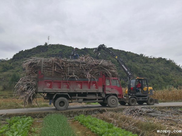 mzops广西轮式抓木机