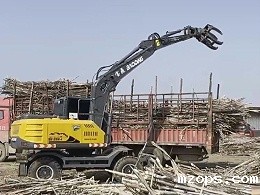 mzops抓木机迎来甘蔗丰收季