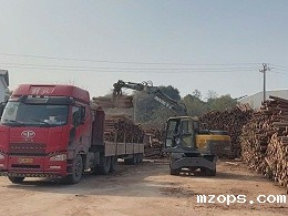 mzops抓木机料场打堆“神器”，轻松装卸成片木材