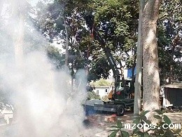 各显神通，你更倾心于哪台抓木机呢？