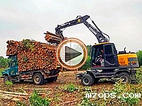 mzops广西抓木机装树视频