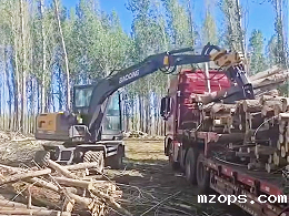 mzopsBD80X轮式抓木机征战西藏那曲高原