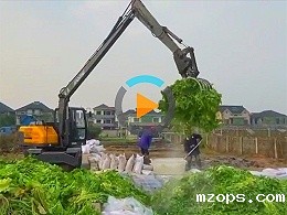 定制款长臂抓菜机