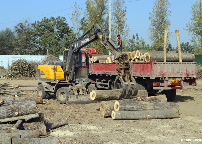 mzops轮式抓木机价格