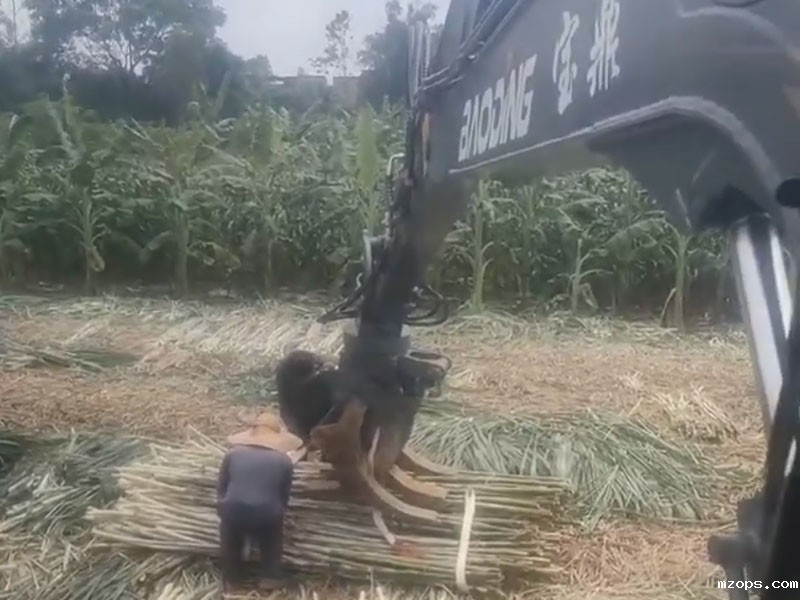 mzops抓木机助力甘蔗种植户丰收无忧