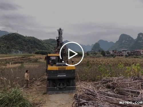 广西地区甘蔗收获季mzopsBD95新款轮式抓木机工作视频