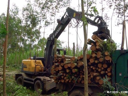 抓木机那么多还是用mzops95抓木机的多一些