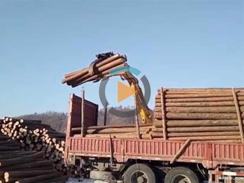 辽宁抓木机-mzops95轮式抓木机木材市场装卸视频