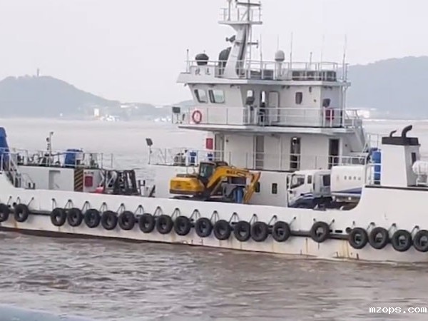 小型抓木机码头交货时如何进行的