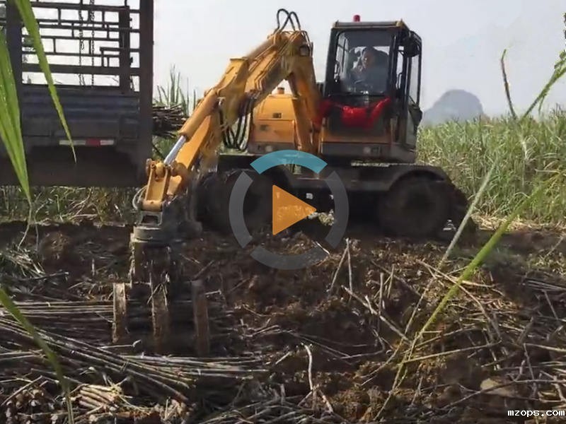 广西轮式抓木机工作视频