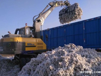机械化崛起：轮式挖掘机与抓木机市场在中国的蓬勃发展