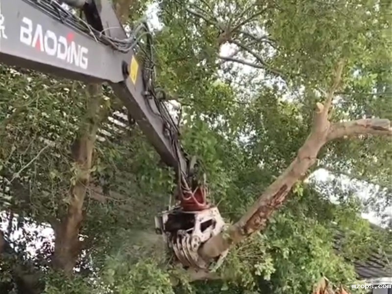 18luck平台搭载抱夹锯：粗木截断轻轻松松