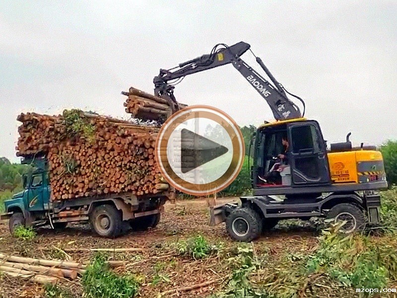 广西抓木机视频-熟练抓木机手操作使用方法-mzops95抓木机型号