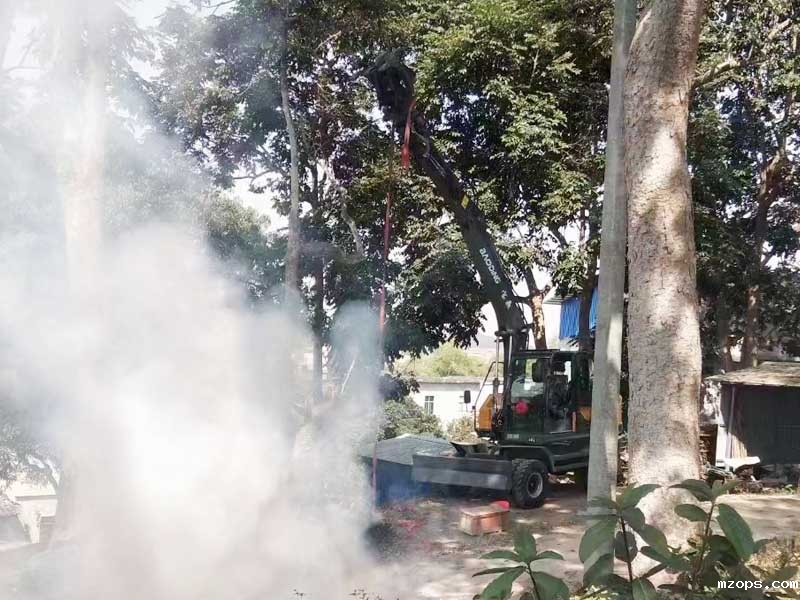 各显神通，你更倾心于哪台抓木机呢？