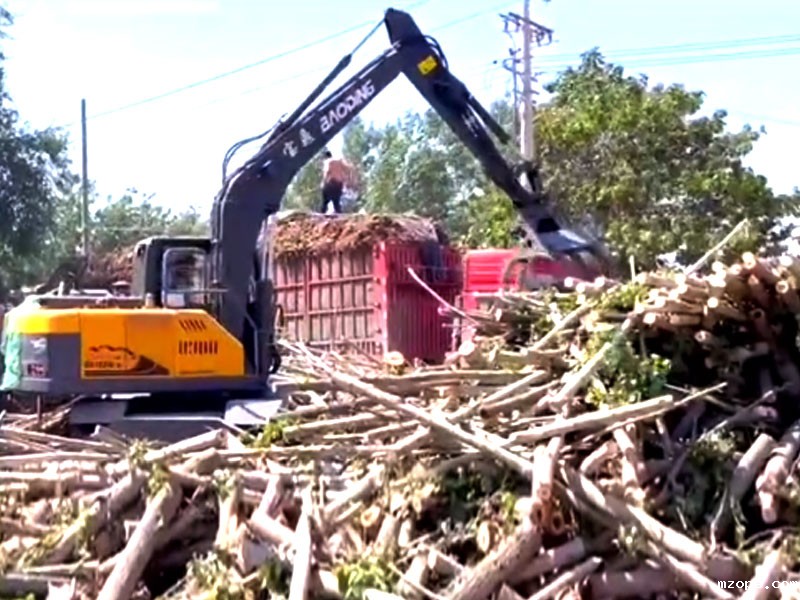 mzops抓木机助力甘蔗丰收季装运