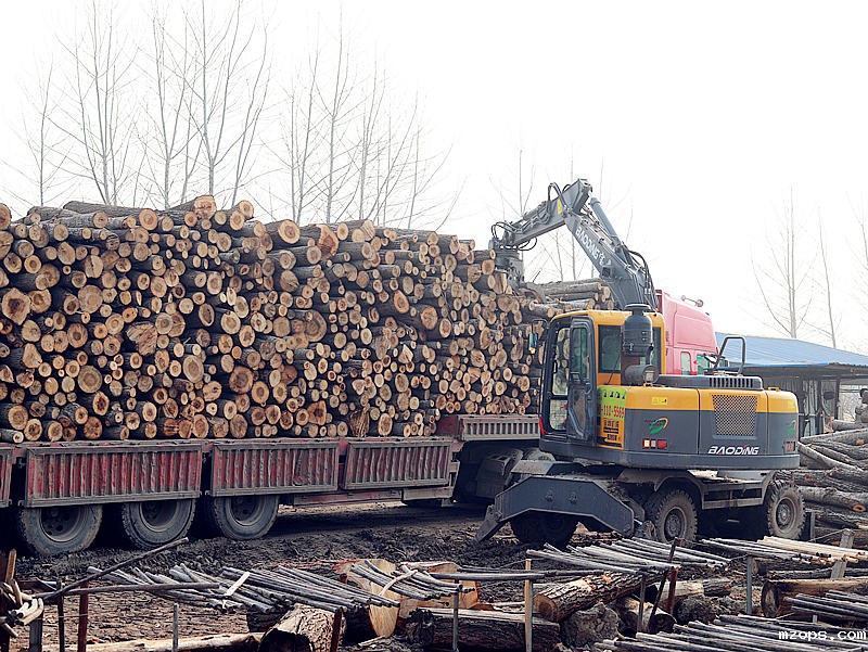 轮式抓木机在多领域应用下的崭新角色
