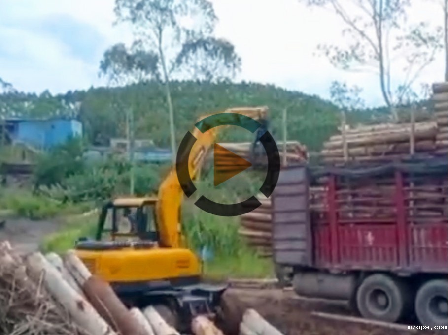 mzopsBD80W抓木机工作视频介绍-mzops轮式抓木机