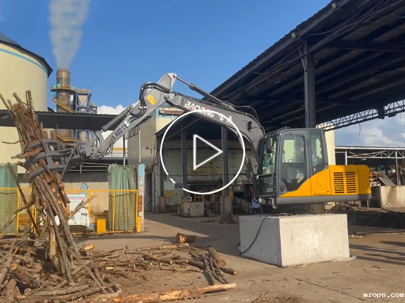 mzops固定式电动抓，环保高效的固定式抓取解决方案