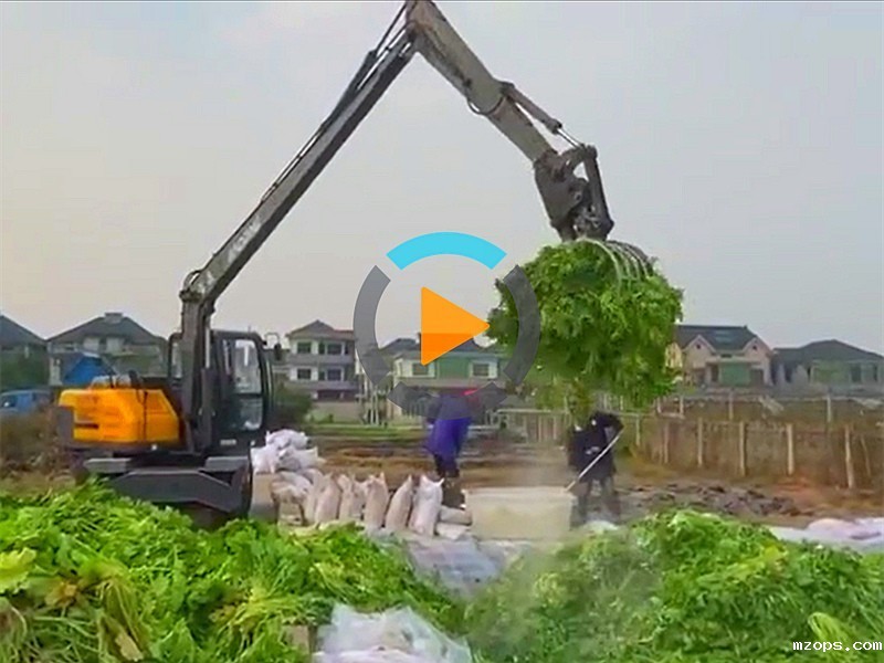 定制款长臂抓菜机